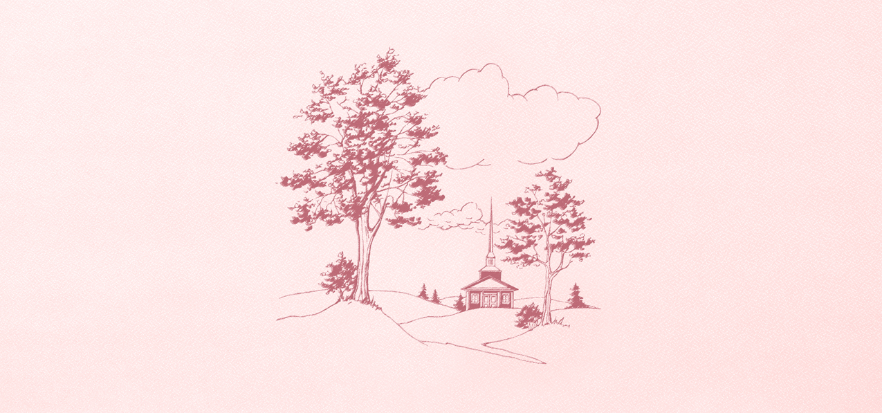 P 560 PK PK Church On Hill Faux Pink Pink